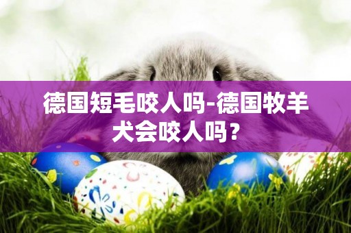 德國短毛咬人嗎-德國牧羊犬會咬人嗎？