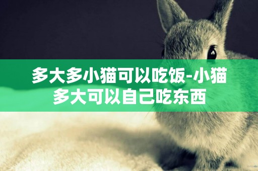 多大多小貓可以吃飯-小貓多大可以自己吃東西