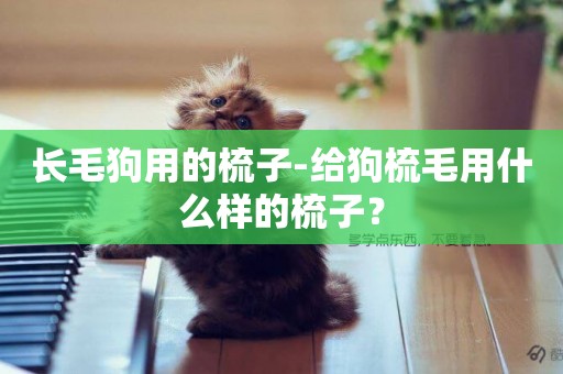 長毛狗用的梳子-給狗梳毛用什么樣的梳子？