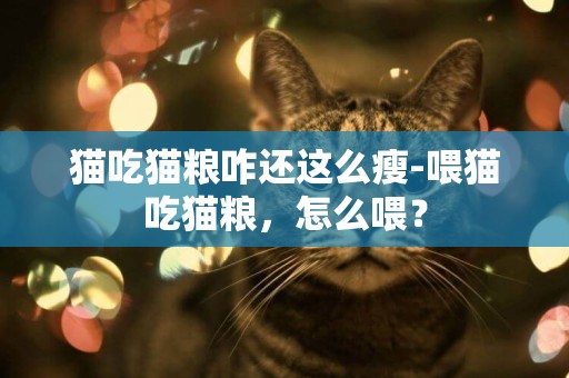 貓吃貓糧咋還這么瘦-喂貓吃貓糧，怎么喂？