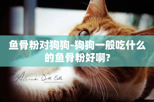 魚骨粉對狗狗-狗狗一般吃什么的魚骨粉好啊?