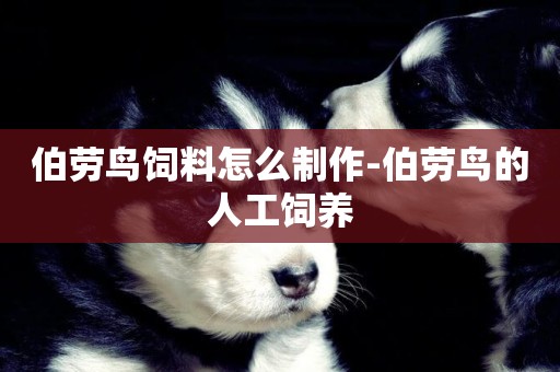 伯勞鳥飼料怎么制作-伯勞鳥的人工飼養
