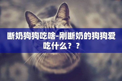 斷奶狗狗吃啥-剛斷奶的狗狗愛吃什么？？