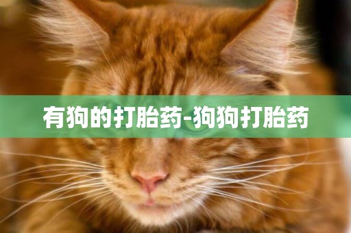 有狗的打胎藥-狗狗打胎藥