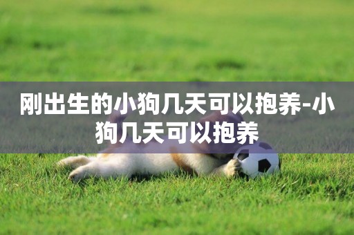 剛出生的小狗幾天可以抱養-小狗幾天可以抱養