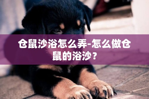 倉鼠沙浴怎么弄-怎么做倉鼠的浴沙？