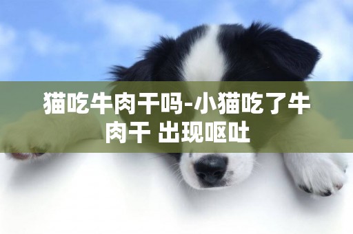 貓吃牛肉干嗎-小貓吃了牛肉干 出現嘔吐