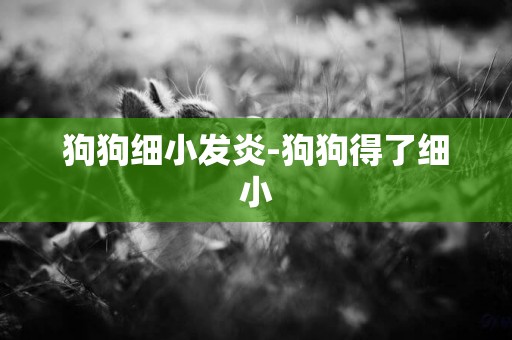 狗狗細小發炎-狗狗得了細小