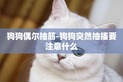 狗狗偶爾抽筋-狗狗突然抽搐要注意什么