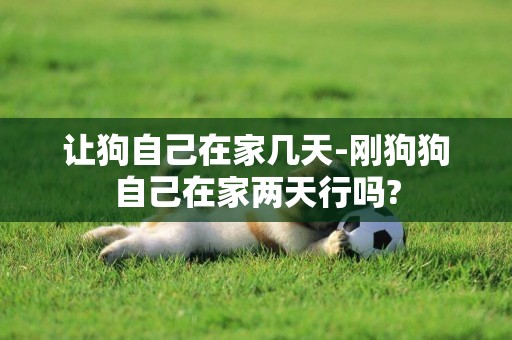 讓狗自己在家幾天-剛狗狗自己在家兩天行嗎?