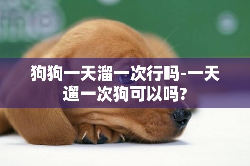 狗狗一天溜一次行嗎-一天遛一次狗可以嗎?