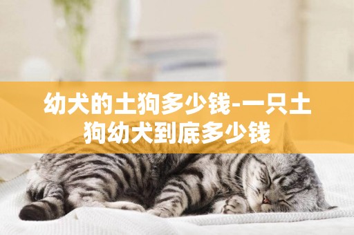 幼犬的土狗多少錢-一只土狗幼犬到底多少錢