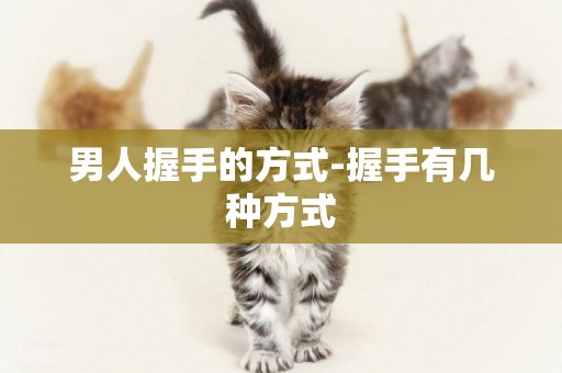 男人握手的方式-握手有幾種方式