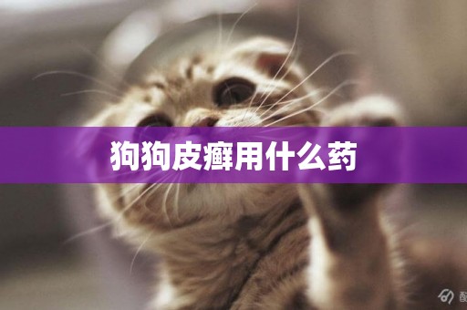 狗狗皮癬用什么藥