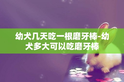 幼犬幾天吃一根磨牙棒-幼犬多大可以吃磨牙棒