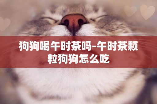 狗狗喝午時茶嗎-午時茶顆粒狗狗怎么吃