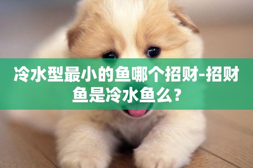 冷水型最小的魚哪個招財-招財魚是冷水魚么？