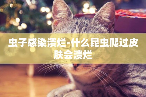 蟲子感染潰爛-什么昆蟲爬過皮膚會潰爛