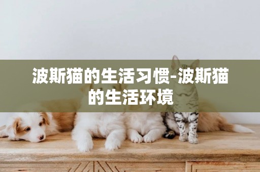 波斯貓的生活習慣-波斯貓的生活環境