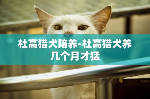 杜高獵犬陪養-杜高獵犬養幾個月才猛