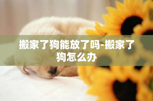 搬家了狗能放了嗎-搬家了狗怎么辦
