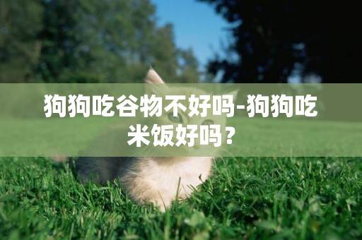 狗狗吃谷物不好嗎-狗狗吃米飯好嗎？