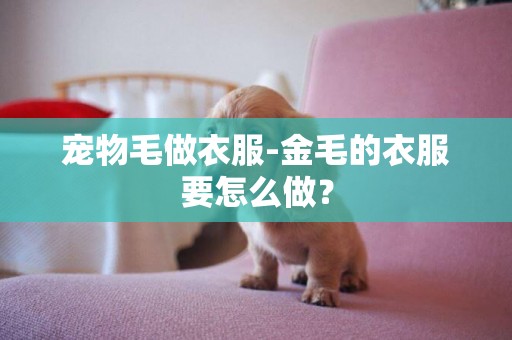 寵物毛做衣服-金毛的衣服要怎么做？