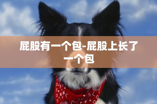 屁股有一個包-屁股上長了一個包