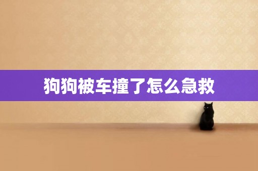 狗狗被車撞了怎么急救