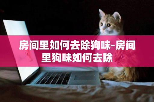 房間里如何去除狗味-房間里狗味如何去除