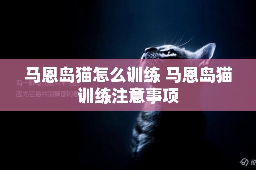 馬恩島貓怎么訓練 馬恩島貓訓練注意事項