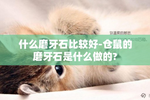 什么磨牙石比較好-倉鼠的磨牙石是什么做的?
