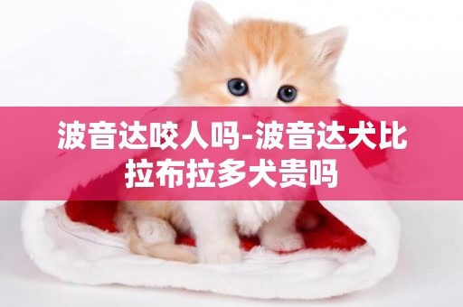 波音達咬人嗎-波音達犬比拉布拉多犬貴嗎