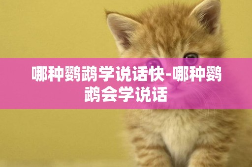 哪種鸚鵡學說話快-哪種鸚鵡會學說話