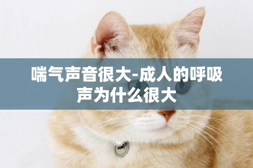 喘氣聲音很大-成人的呼吸聲為什么很大