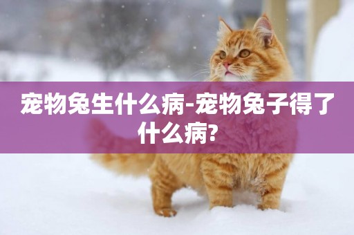 寵物兔生什么病-寵物兔子得了什么病?