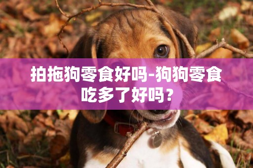 拍拖狗零食好嗎-狗狗零食吃多了好嗎？