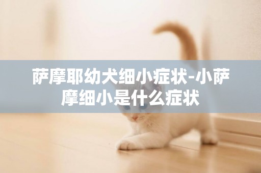 薩摩耶幼犬細小癥狀-小薩摩細小是什么癥狀