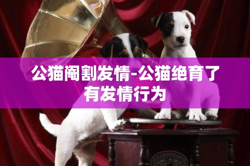 公貓閹割發情-公貓絕育了有發情行為