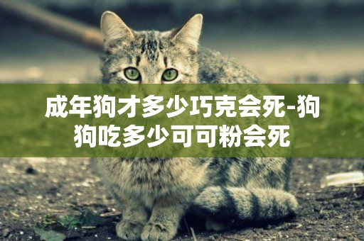 成年狗才多少巧克會死-狗狗吃多少可可粉會死