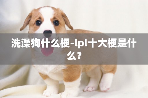 洗澡狗什么梗-lpl十大梗是什么？