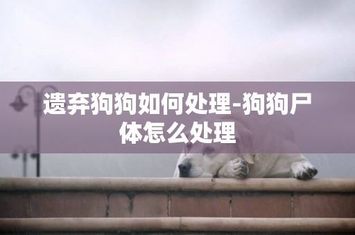 遺棄狗狗如何處理-狗狗尸體怎么處理