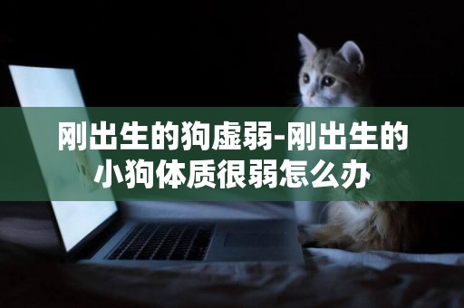 剛出生的狗虛弱-剛出生的小狗體質很弱怎么辦