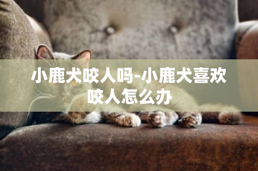 小鹿犬咬人嗎-小鹿犬喜歡咬人怎么辦