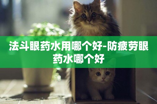 法斗眼藥水用哪個好-防疲勞眼藥水哪個好