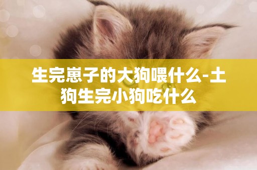 生完崽子的大狗喂什么-土狗生完小狗吃什么