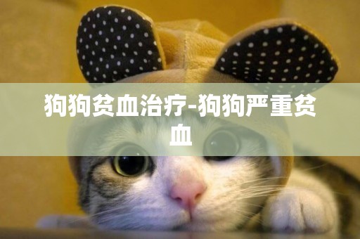 狗狗貧血治療-狗狗嚴重貧血
