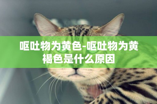嘔吐物為黃色-嘔吐物為黃褐色是什么原因
