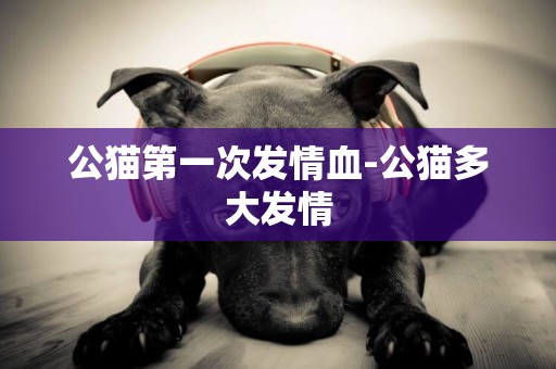 公貓第一次發情血-公貓多大發情