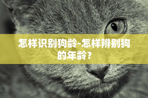 怎樣識別狗齡-怎樣辨別狗的年齡？